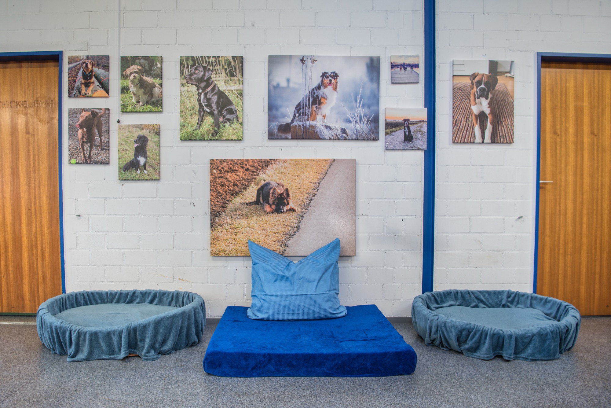 Hundebetten